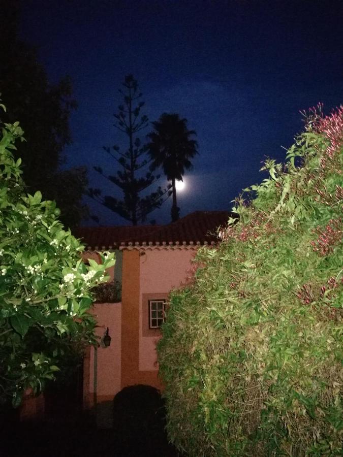 Quinta Do Rio Touro Bed & Breakfast Azoia  Eksteriør bilde