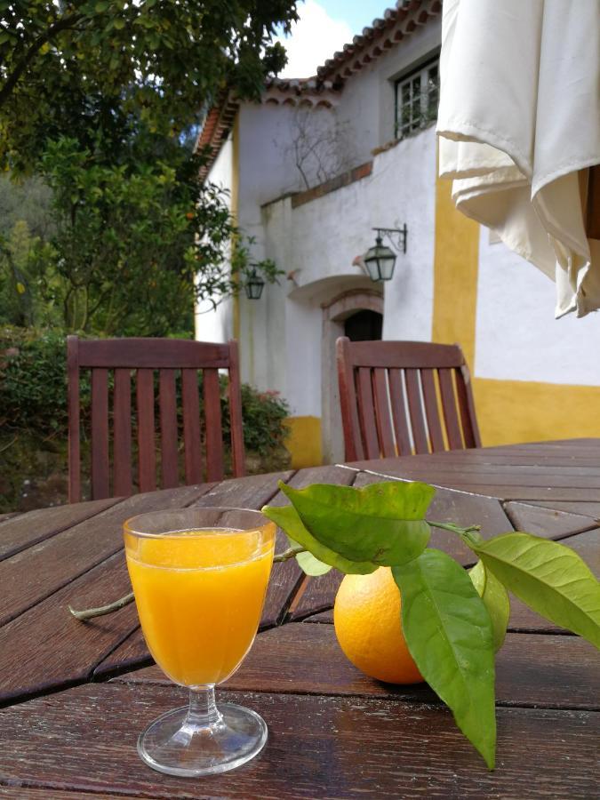 Quinta Do Rio Touro Bed & Breakfast Azoia  Eksteriør bilde
