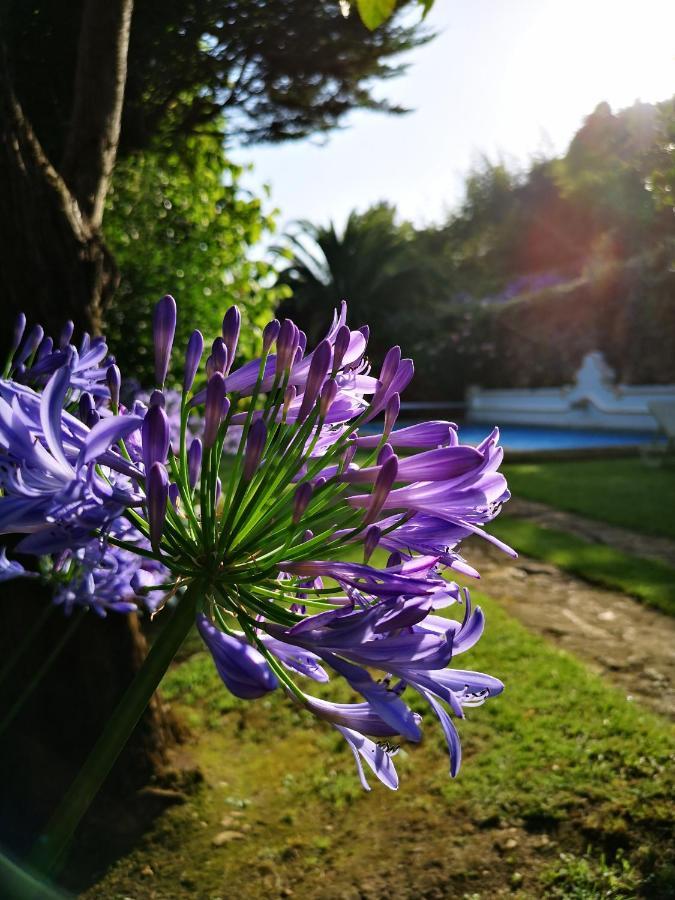 Quinta Do Rio Touro Bed & Breakfast Azoia  Eksteriør bilde