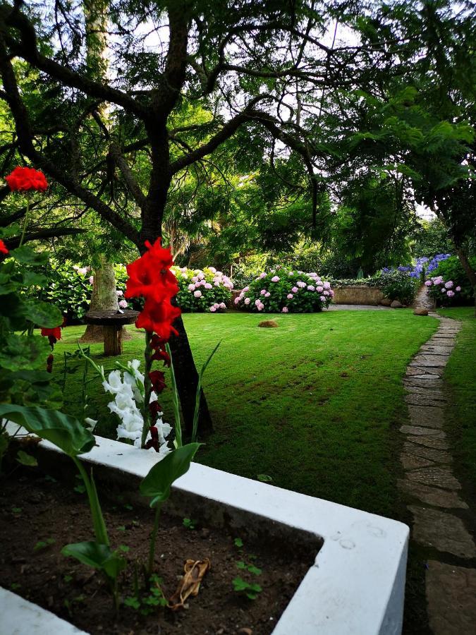 Quinta Do Rio Touro Bed & Breakfast Azoia  Eksteriør bilde